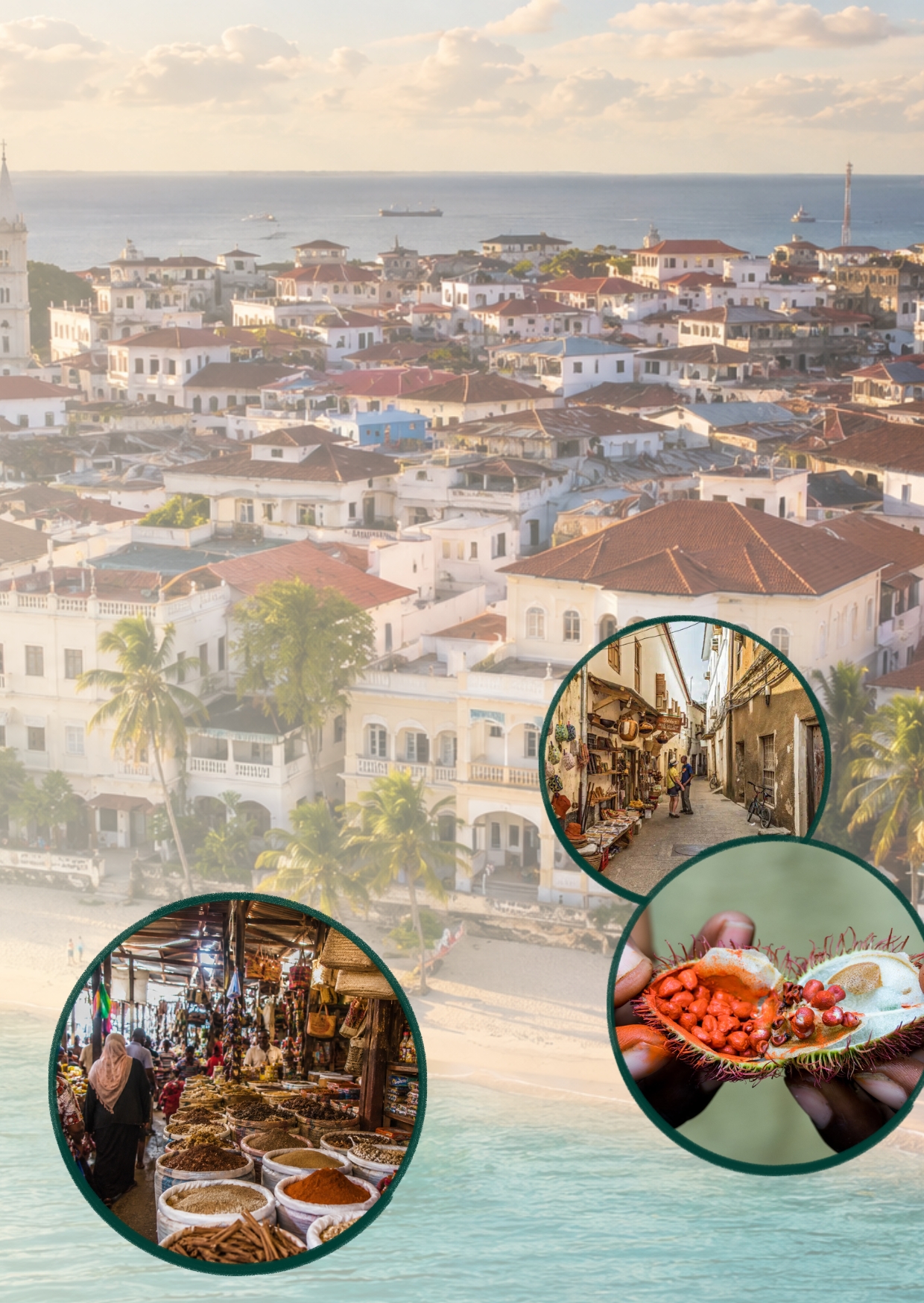 Spice farms & Stone Town.