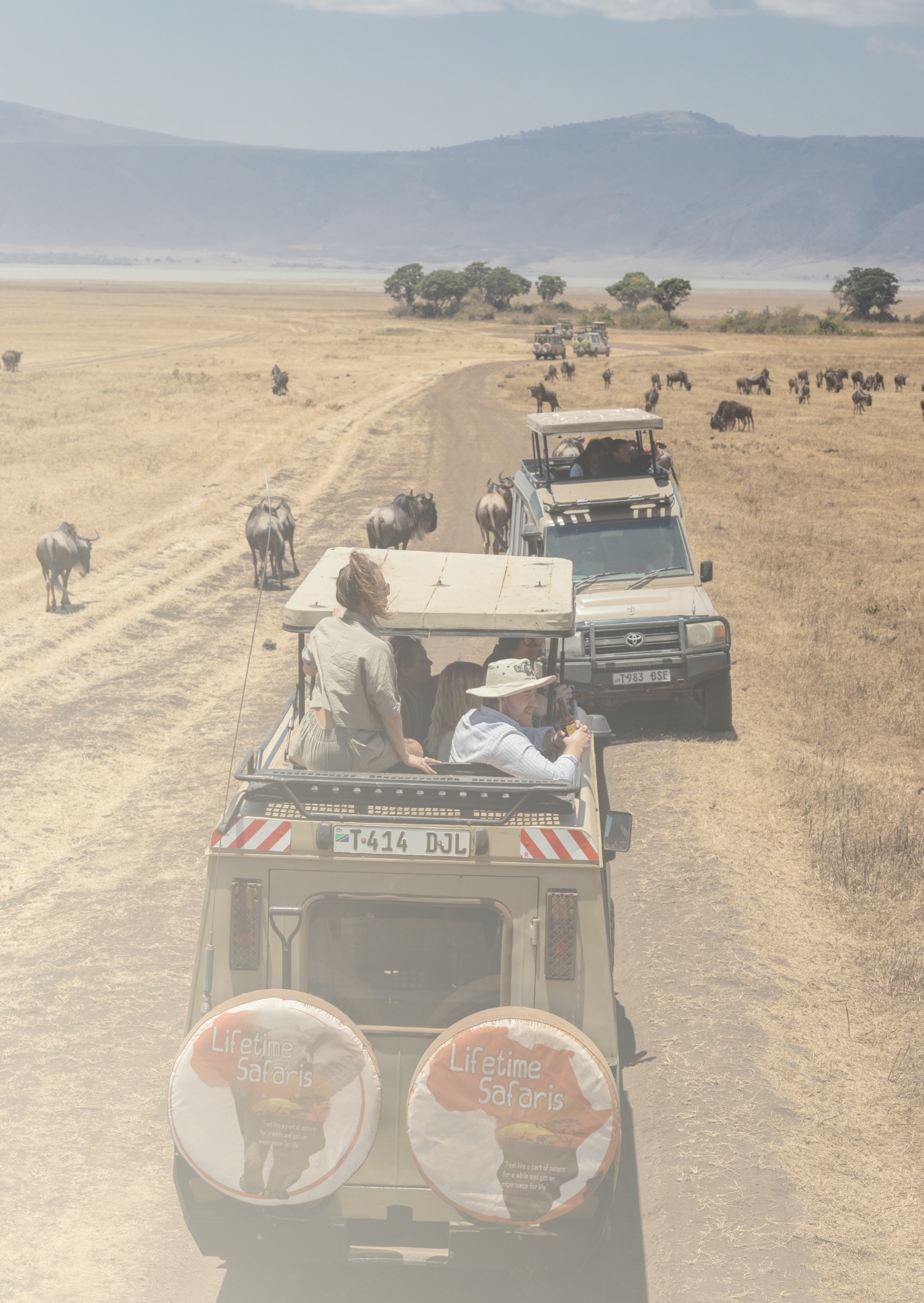 Fly to mainland safari.