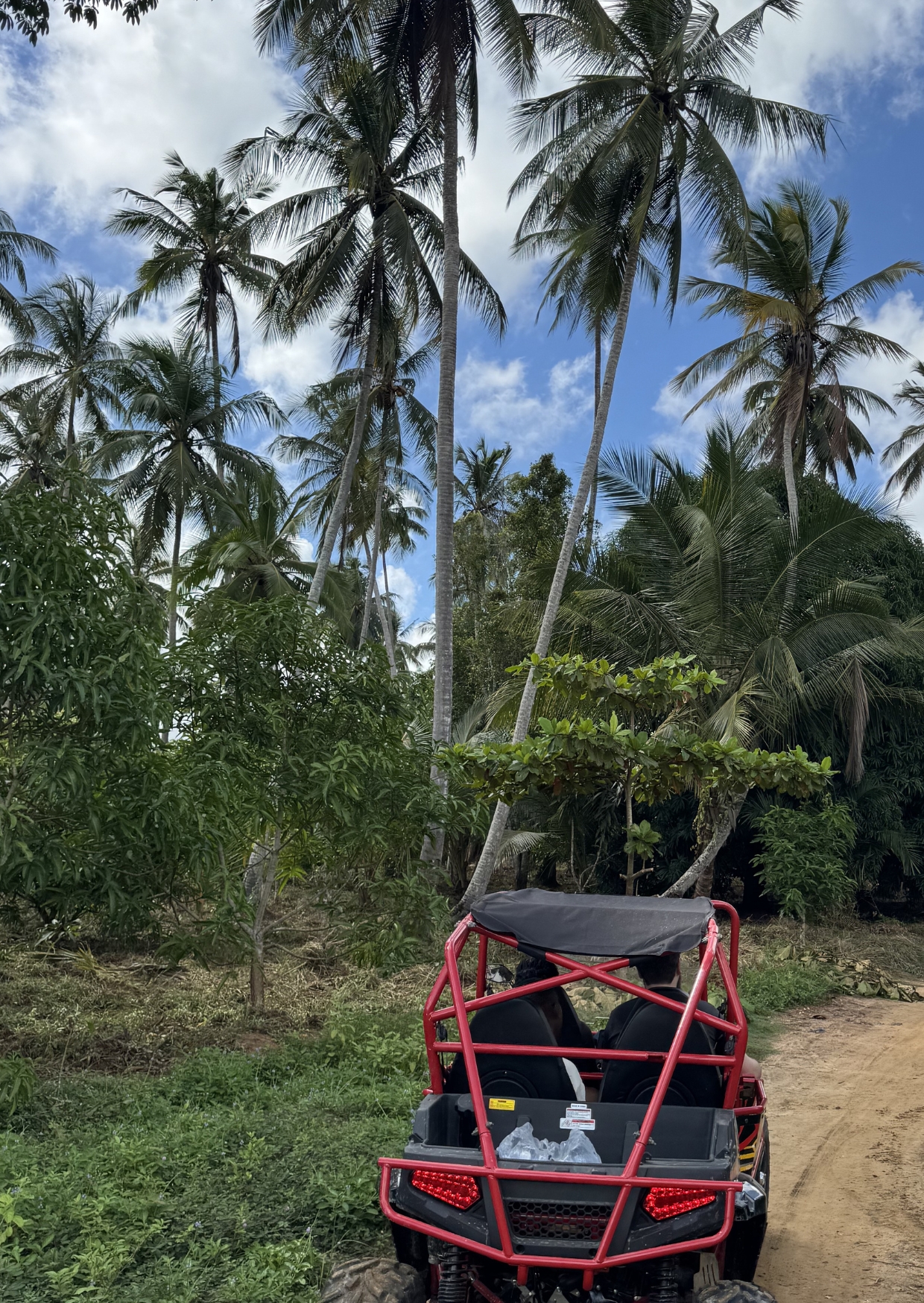 Quad Adventure